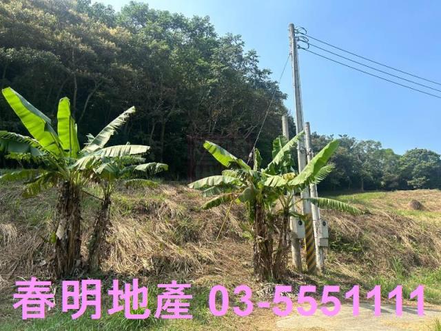 苗栗三灣農地-6