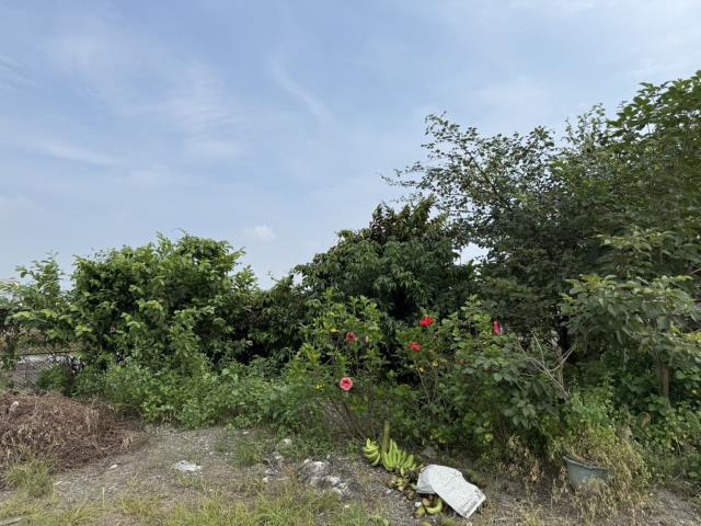 屏東竹田農地-2