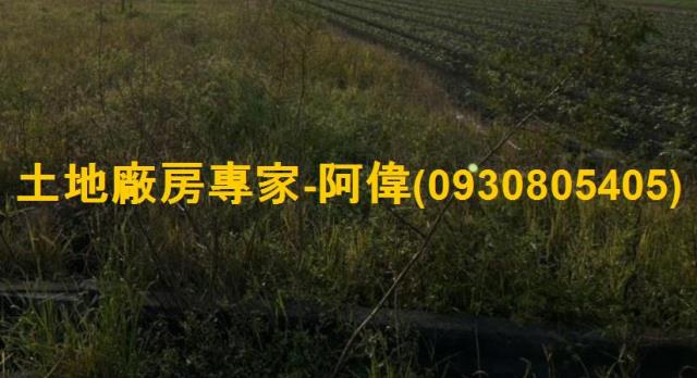 大寮農地-1