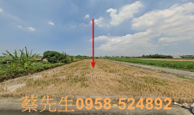 屏東萬丹農地法拍-12