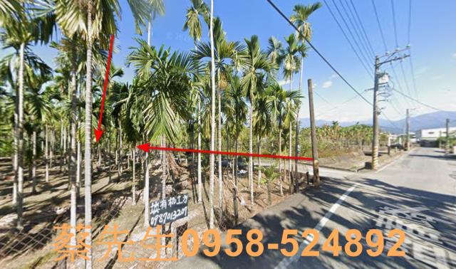 屏東潮州法拍農地-5