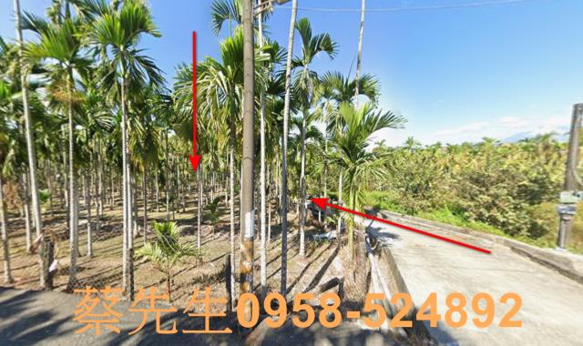 屏東潮州法拍農地-8