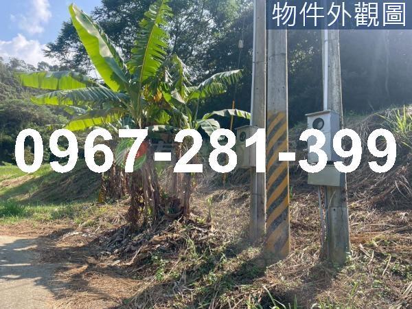 苗栗三灣農地-13