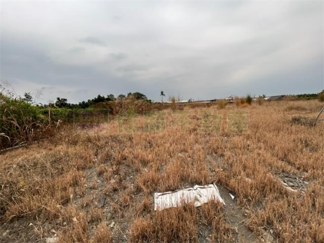 屏東里港農地-4