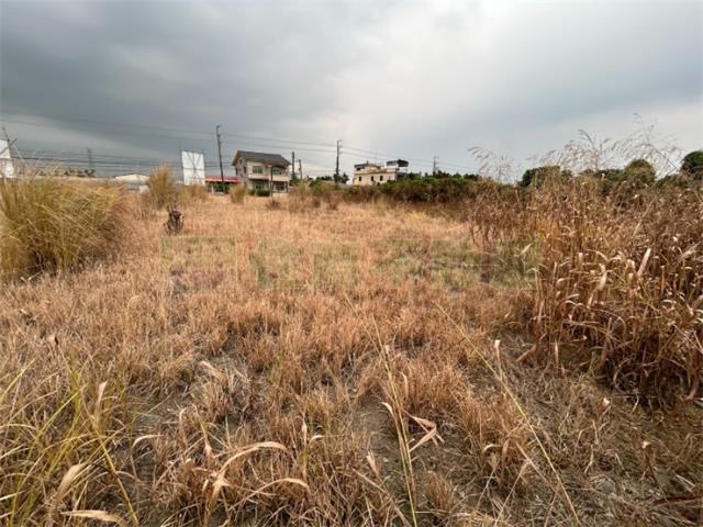 屏東里港農地-8