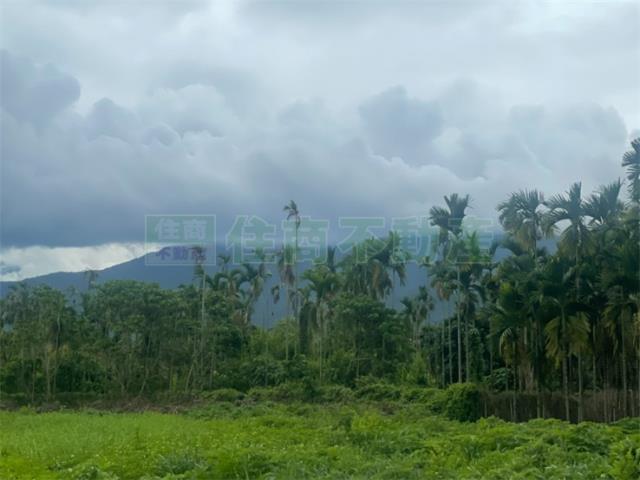 屏東內埔農地-2