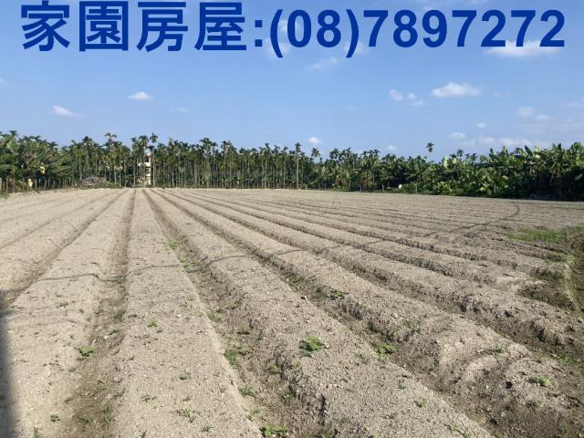 屏東農地-2