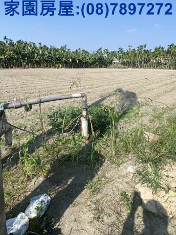 屏東農地-6